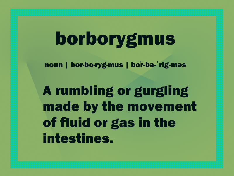 Image result for borborygmus